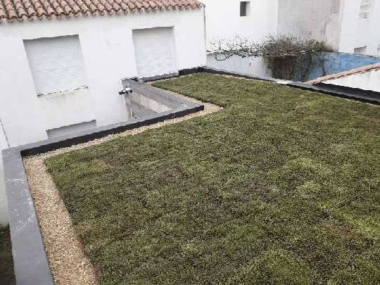 Toit végétalisé réalisé par Au Bac D'Eau